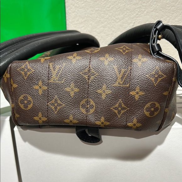 Louis Vuitton Palm Springs Monogram Brown Backpack - Damaged - Picture 4 of 15
